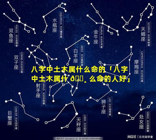 八字中土木属什么命的「八字中土木属什 🌸 么命的人好」